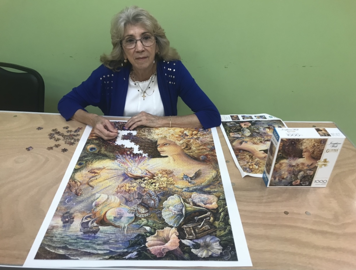 Elderly Recreational Activities Homestead