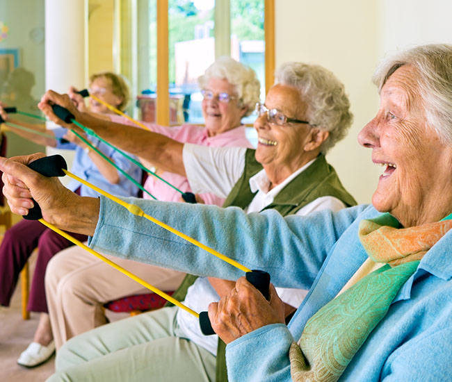 Ejercicios para personas de la tercera edad Homestead